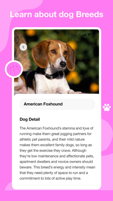 Emulate iPhone app Dog scanner - Dog Breed ID using MyAndroid Emulate iPhone app Dog scanner - Dog Breed ID using MyAndroid