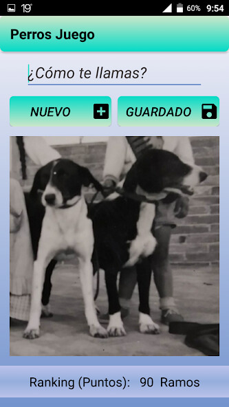 Run android online APK Dogs Game from MyAndroid or emulate Dogs Game using MyAndroid