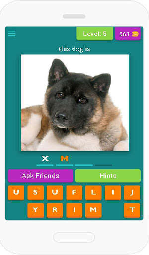 Run android online APK DOGS GUESS 2018 from MyAndroid or emulate DOGS GUESS 2018 using MyAndroid