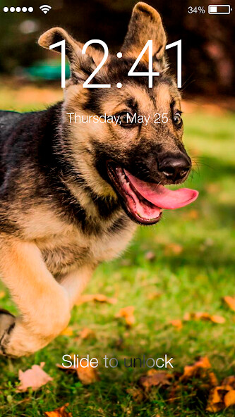 Run android online APK Dog Shepherd Puppy Little Pet from MyAndroid or emulate Dog Shepherd Puppy Little Pet using MyAndroid Run android online APK Dog Shepherd Puppy Little Pet from MyAndroid or emulate Dog Shepherd Puppy Little Pet using MyAndroid