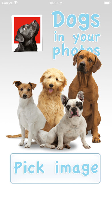 Emulate iPhone app Dogs in your photos using MyAndroid Emulate iPhone app Dogs in your photos using MyAndroid