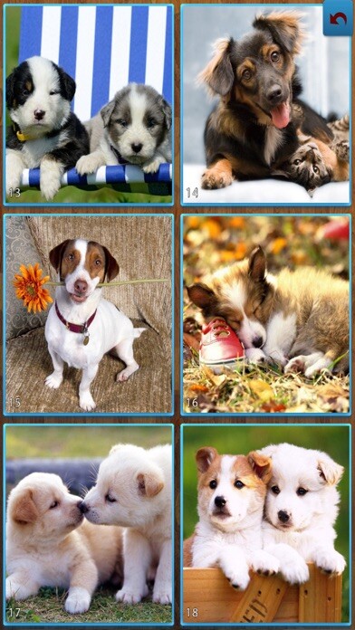 Emulate iPhone app Dogs Jigsaw Puzzles - Titan using MyAndroid Emulate iPhone app Dogs Jigsaw Puzzles - Titan using MyAndroid