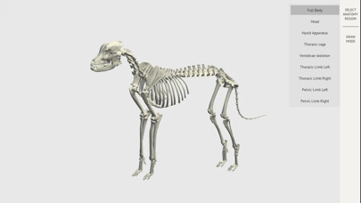 Emulate iPhone app Dog Skeleton 3D Atlas using MyAndroid