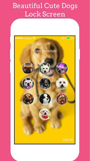 Run android online APK Dogs Labrador Lock screen Dogs Labrador HD AppLock from MyAndroid or emulate Dogs Labrador Lock screen Dogs Labrador HD AppLock using MyAndroid Run android online APK Dogs Labrador Lock screen Dogs Labrador HD AppLock from MyAndroid or emulate Dogs Labrador Lock screen Dogs Labrador HD AppLock using MyAndroid