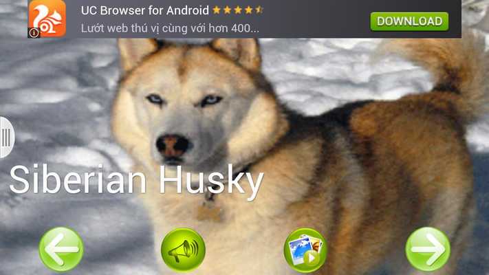 Emulate Android APK Dog sounds best Emulate Android APK Dog sounds best
