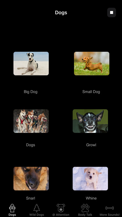 Emulate iPhone app Dog Sounds & Body Talk using MyAndroid Emulate iPhone app Dog Sounds & Body Talk using MyAndroid