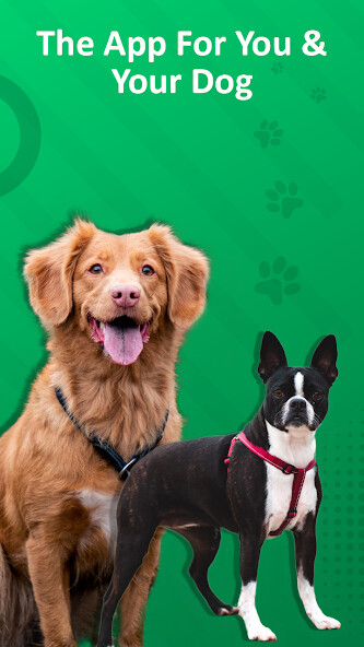 Run android online APK Dog Sounds Dogs Breed from MyAndroid or emulate Dog Sounds Dogs Breed using MyAndroid Run android online APK Dog Sounds Dogs Breed from MyAndroid or emulate Dog Sounds Dogs Breed using MyAndroid