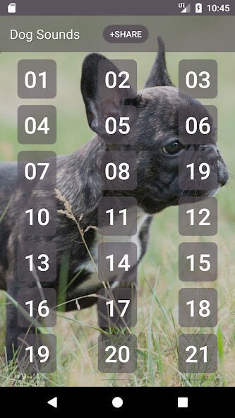 Run android online APK Dog Sounds Set as Ringtone from MyAndroid or emulate Dog Sounds Set as Ringtone using MyAndroid Run android online APK Dog Sounds Set as Ringtone from MyAndroid or emulate Dog Sounds Set as Ringtone using MyAndroid