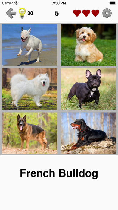 Emulate iPhone app Dogs Quiz: Photos of Cute Pets using MyAndroid Emulate iPhone app Dogs Quiz: Photos of Cute Pets using MyAndroid