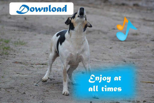 Run android online APK Dogs ringtones from MyAndroid or emulate Dogs ringtones using MyAndroid Run android online APK Dogs ringtones from MyAndroid or emulate Dogs ringtones using MyAndroid