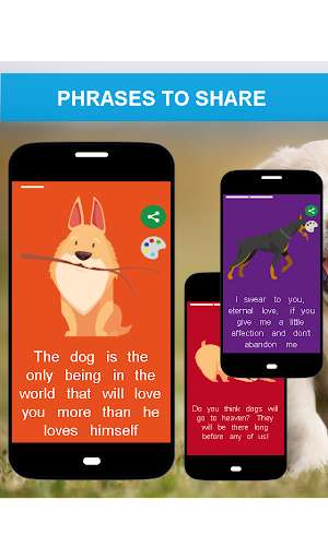 Run android online APK Dogstat - Phrases for your pet to share from MyAndroid or emulate Dogstat - Phrases for your pet to share using MyAndroid