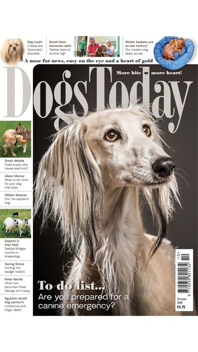 Emulate iPhone app Dogs Today Magazine using MyAndroid Emulate iPhone app Dogs Today Magazine using MyAndroid