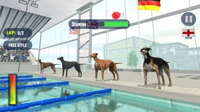 Emulate iPhone app Dog Swimming Race using MyAndroid Emulate iPhone app Dog Swimming Race using MyAndroid