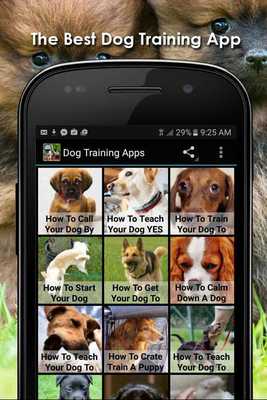 Emulate Android APK Dog Training Apps Emulate Android APK Dog Training Apps