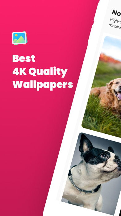 Emulate iPhone app Dog Wallpaper and Backgrounds using MyAndroid Emulate iPhone app Dog Wallpaper and Backgrounds using MyAndroid