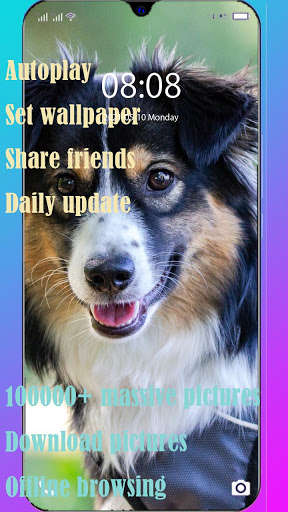 Run android online APK Dog Wallpaper & Puzzle/Chess/Sudoku Games from MyAndroid or emulate Dog Wallpaper & Puzzle/Chess/Sudoku Games using MyAndroid Run android online APK Dog Wallpaper & Puzzle/Chess/Sudoku Games from MyAndroid or emulate Dog Wallpaper & Puzzle/Chess/Sudoku Games using MyAndroid