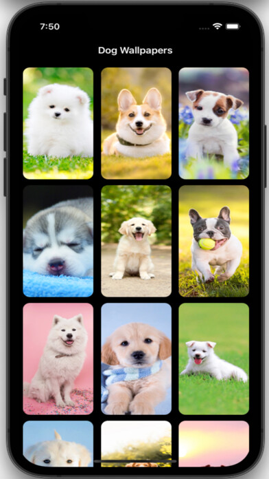 Emulate iPhone app Dog Wallpapers HD Pro using MyAndroid