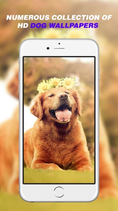 Emulate iPhone app Dog Wallpapers - Home Screen Themes & Backgrounds using MyAndroid Emulate iPhone app Dog Wallpapers - Home Screen Themes & Backgrounds using MyAndroid