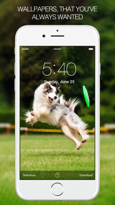 Emulate iPhone app Dog Wallpapers & Pictures – Cute Dogs using MyAndroid Emulate iPhone app Dog Wallpapers & Pictures – Cute Dogs using MyAndroid