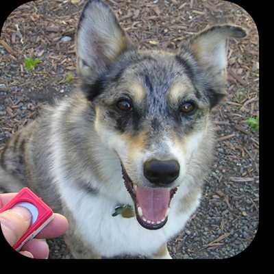 Emulate Android APK Dog Whistle Trainer High Pitch