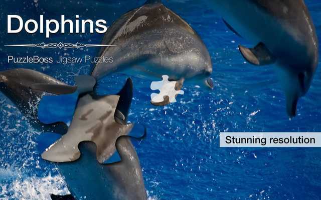 Emulate Android APK Dolphin Jigsaw Puzzles Demo Emulate Android APK Dolphin Jigsaw Puzzles Demo