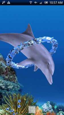 Emulate Android APK Dolphin Ring Trial Emulate Android APK Dolphin Ring Trial