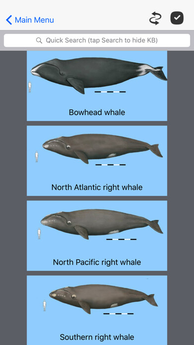 Emulate iPhone app Dolphins and Whales using MyAndroid