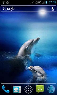 Emulate Android APK Dolphins Live WP Emulate Android APK Dolphins Live WP