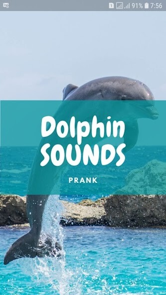Run android online APK Dolphin Sounds and Wallpapers from MyAndroid or emulate Dolphin Sounds and Wallpapers using MyAndroid