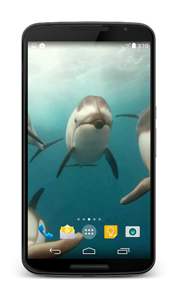 Emulate Android APK Dolphins Video Live Wallpaper Emulate Android APK Dolphins Video Live Wallpaper