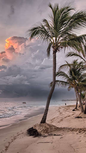 Run android online APK Dominica wallpaper from MyAndroid or emulate Dominica wallpaper using MyAndroid