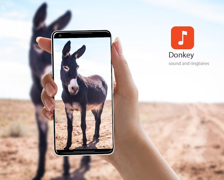 Run android online APK Donkey Sound Effects from MyAndroid or emulate Donkey Sound Effects using MyAndroid