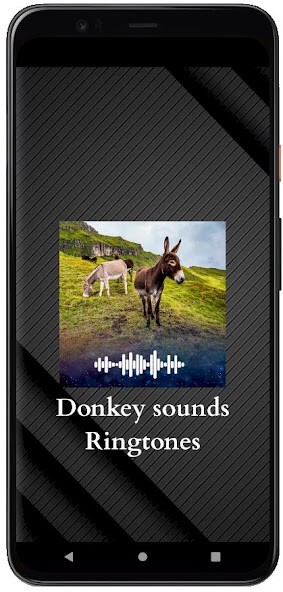Run android online APK Donkey sounds Ringtones from MyAndroid or emulate Donkey sounds Ringtones using MyAndroid Run android online APK Donkey sounds Ringtones from MyAndroid or emulate Donkey sounds Ringtones using MyAndroid