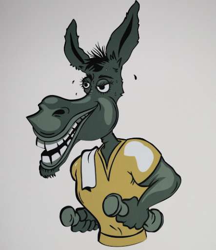 Run android online APK DONKEY STUDIO from MyAndroid or emulate DONKEY STUDIO using MyAndroid