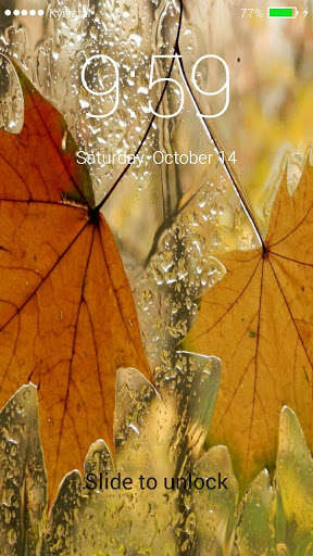Run android online APK Doshu Screen  With Leaf from MyAndroid or emulate Doshu Screen  With Leaf using MyAndroid