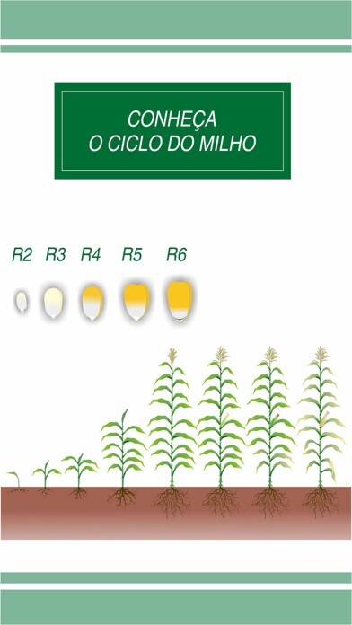 Emulate iPhone app Doutor Milho using MyAndroid Emulate iPhone app Doutor Milho using MyAndroid