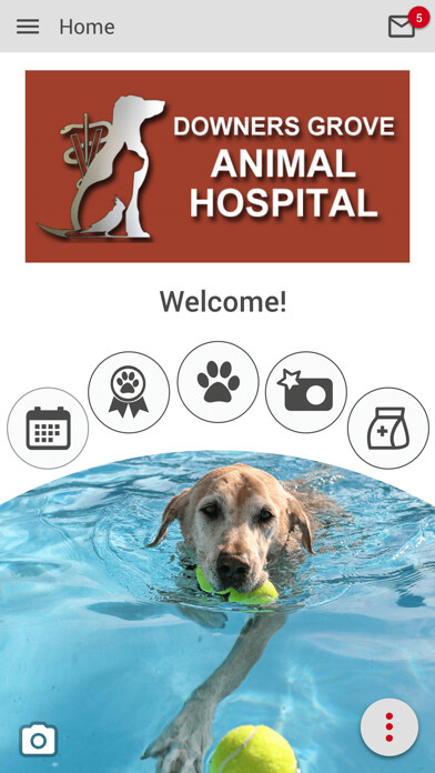 Emulate iPhone app Downers Grove AH using MyAndroid