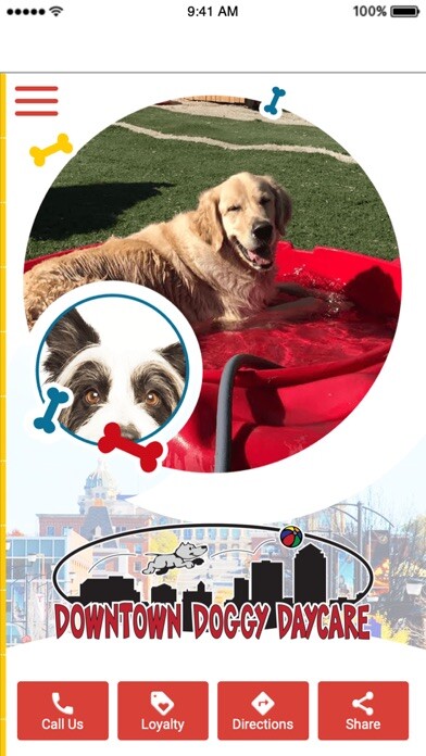 Emulate iPhone app Downtown Doggy Daycare IA using MyAndroid Emulate iPhone app Downtown Doggy Daycare IA using MyAndroid