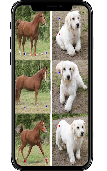 Run android online APK DragGan AI 3D image from MyAndroid or emulate DragGan AI 3D image using MyAndroid Run android online APK DragGan AI 3D image from MyAndroid or emulate DragGan AI 3D image using MyAndroid