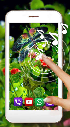 Run android online APK Dragonflies Cool from MyAndroid or emulate Dragonflies Cool using MyAndroid Run android online APK Dragonflies Cool from MyAndroid or emulate Dragonflies Cool using MyAndroid