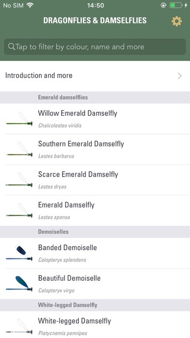 Emulate iPhone app Dragonflies & Damselflies using MyAndroid Emulate iPhone app Dragonflies & Damselflies using MyAndroid