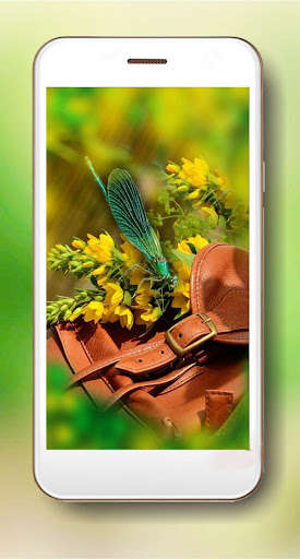 Emulate Android APK Dragonfly Live Wallpaper Emulate Android APK Dragonfly Live Wallpaper