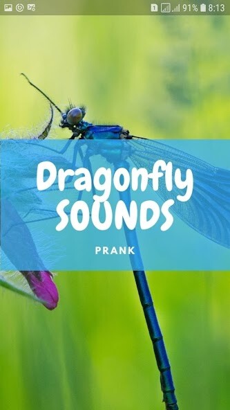 Run android online APK Dragonfly sounds and Wallpaper from MyAndroid or emulate Dragonfly sounds and Wallpaper using MyAndroid