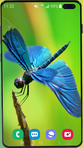 Run android online APK Dragonfly Wallpaper HD from MyAndroid or emulate Dragonfly Wallpaper HD using MyAndroid Run android online APK Dragonfly Wallpaper HD from MyAndroid or emulate Dragonfly Wallpaper HD using MyAndroid