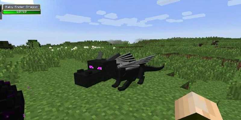 Emulate Android APK Dragon Mounts Mod
