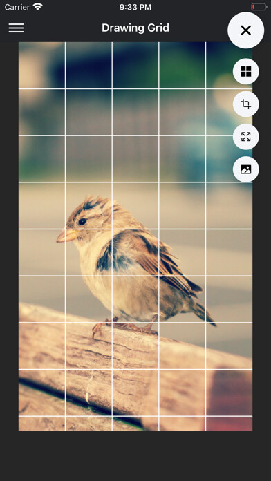 Emulate iPhone app DrawinGrid using MyAndroid