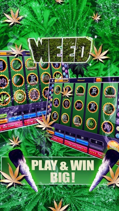 Emulate iPhone app Dream of Weed Slot Machines – Free Slots & Casino using MyAndroid