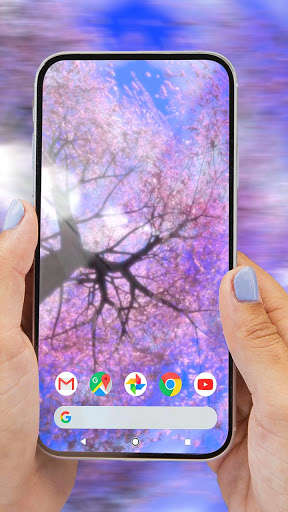 Run android online APK Dream Tree Live Video Wallpaper from MyAndroid or emulate Dream Tree Live Video Wallpaper using MyAndroid