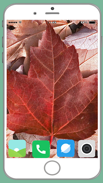 Run android online APK Dry Leaf Full HD Wallpaper from MyAndroid or emulate Dry Leaf Full HD Wallpaper using MyAndroid