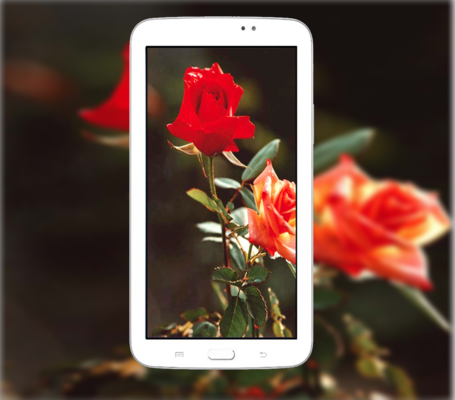 Emulate Android APK DSLR HD Camera (360) Emulate Android APK DSLR HD Camera (360)